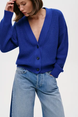 Agnes-blue-1