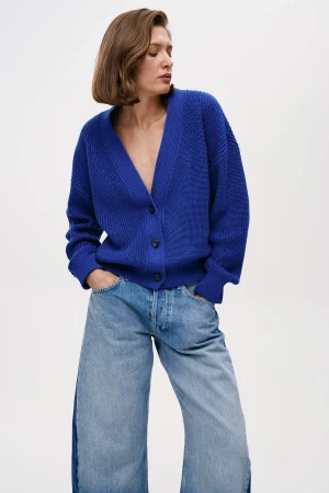 Agnes-blue-2