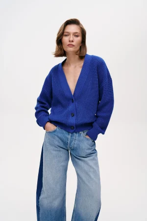 Agnes-blue-5